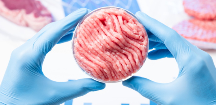 Mięso z laboratorium i imitacja mięsa - czy nadchodzi nowa rewolucja żywieniowa MeatLab_Food_Industry_Support